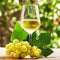 White Wine - Wine barrel Plus
