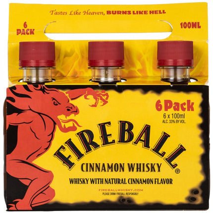 FIREBALL CINNAMON PL 6PK 66 Proof 100 ml