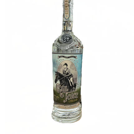 TWO JAMES G. FORCE CITRUS GIN 80 Proof 750 ml