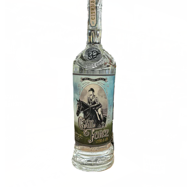 TWO JAMES G. FORCE CITRUS GIN 80 Proof 750 ml
